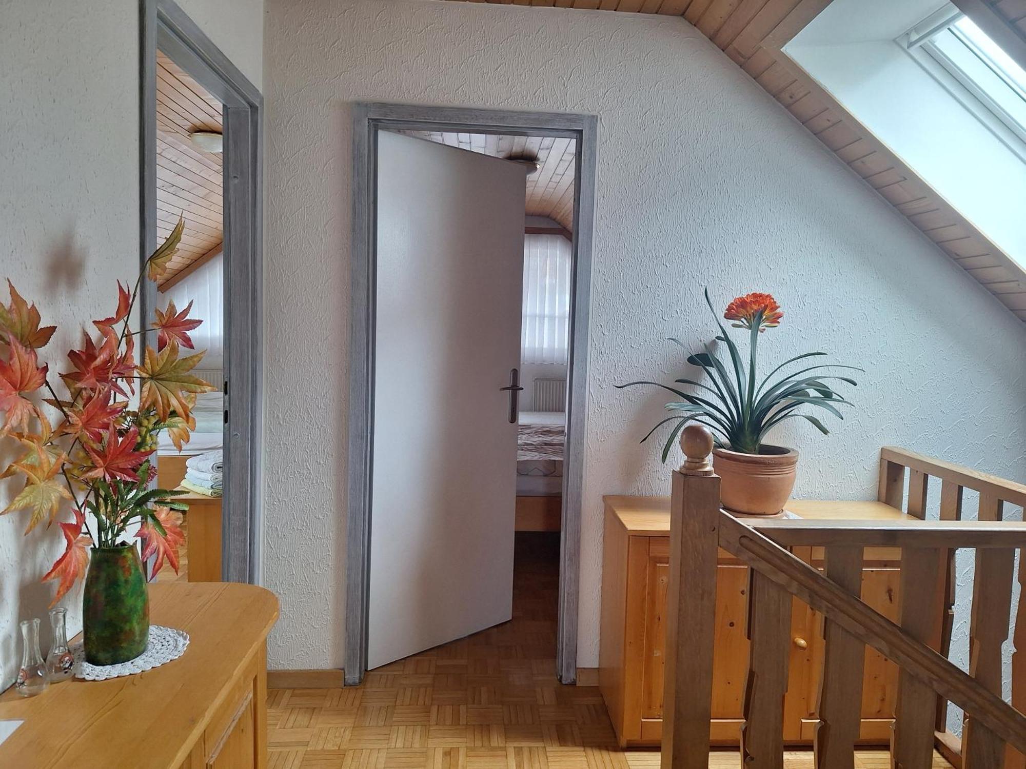 Apartmaji Marinka Hodnik Бохин Екстериор снимка